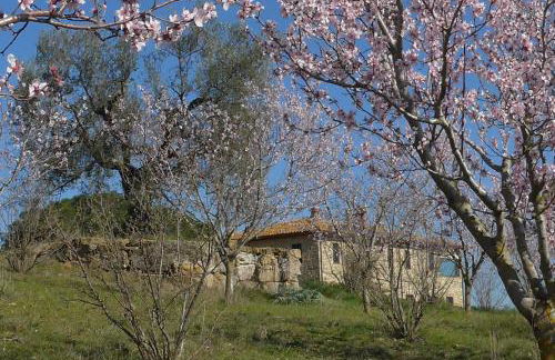 Agriturismo Il Sassolino - Foto 8