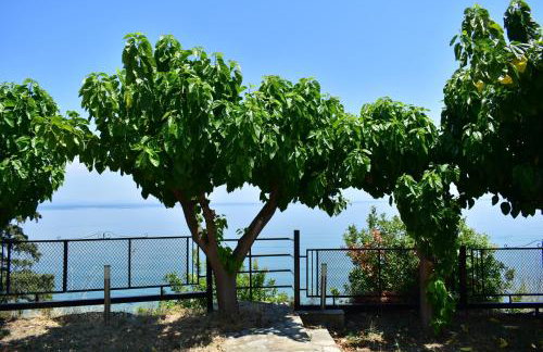 White Clam Vintage House with sea view & garden - Photo 11