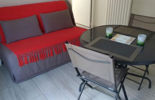 Très joli T2 indépendant 250 m2 jardin privatif - Foto 4