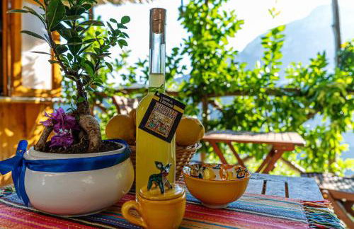 Poggio Angelarosa: Lemon Garden Stay&Relax - Photo 27