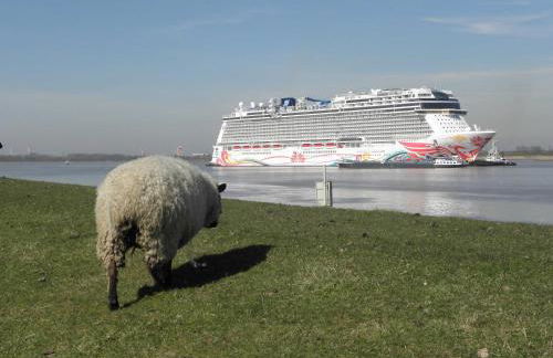 Haus Sonnenhof am Dollart 45240 - Foto 11