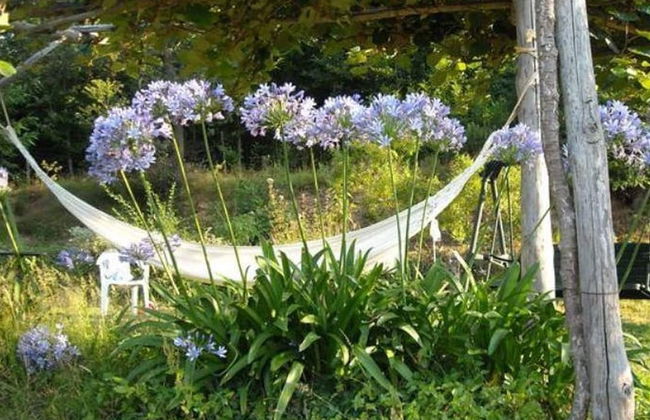 Woodland Escape With Pool - Foto 27