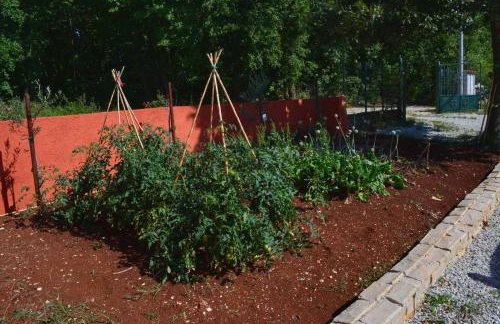 House in Nature - Foto 62