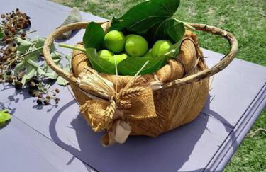 Casa vacanza in Casale vicino Orvieto - Foto 22