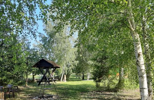 GREEN HOUSE - Foto 57