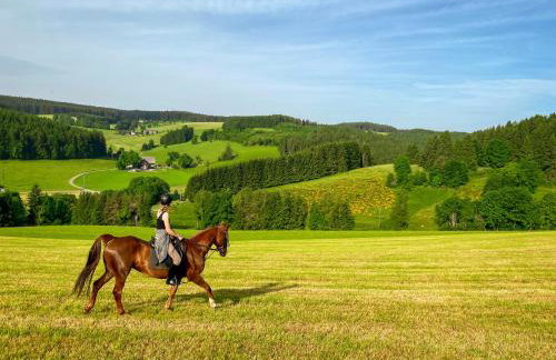 Ferienhof Gerda - Foto 62