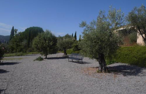 Les Oliviers - Foto 6