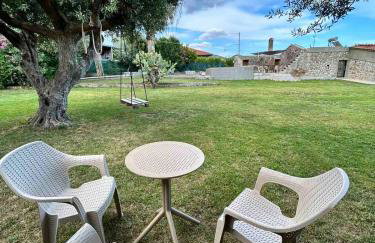 Ktimaoliva1 - Foto 54