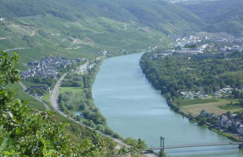 Ferienwohnung Ehlen im Alten Winzerhaus - Foto 24