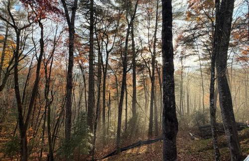 The Onyx - Walk to Falls, Hot Tub, Resort Access, Luxe Approved - Foto 69