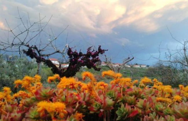 Angelucci Agriturismo con Camere e Agri Camping - Photo 71