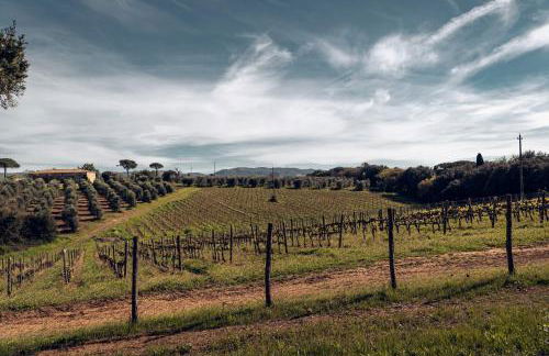 Bolgheri Countryhouse - Foto 28