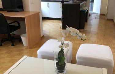 studio b - Sunny City Business Apartment with roof-top terrace for 2-4 guests - Foto 46