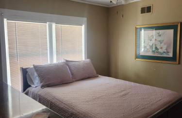 Complete Dream - Foto 6