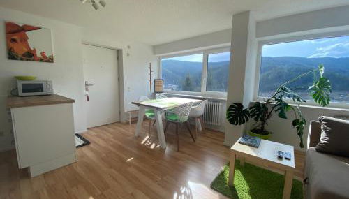 Hochschwarzwald Ferienwohnung - Foto 4