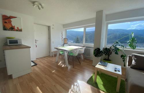 Hochschwarzwald Ferienwohnung - Foto 4