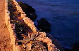 Casa Ladena - Foto 34