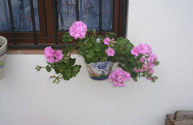 Hostería Casa Adriano - Foto 26