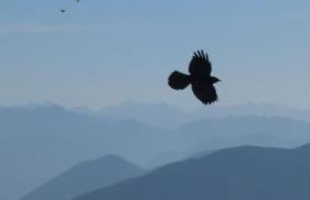 Einzigartiges Berg-Chalet in Alleinlage bis zu 21 Personen - Foto 26