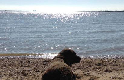 Wayside Cottage - Foto 20