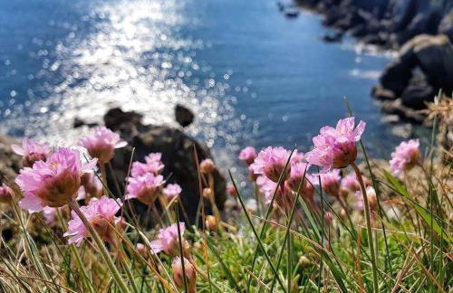 Ocean View Studio - Newgale Beach Front Location - Foto 8