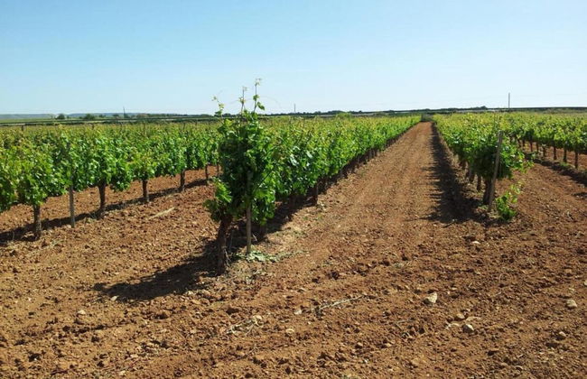 Belvilla by OYO Casa de Campo El Mirador - Foto 35