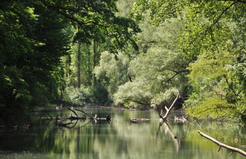 Fewo Am Otterbach - Foto 21