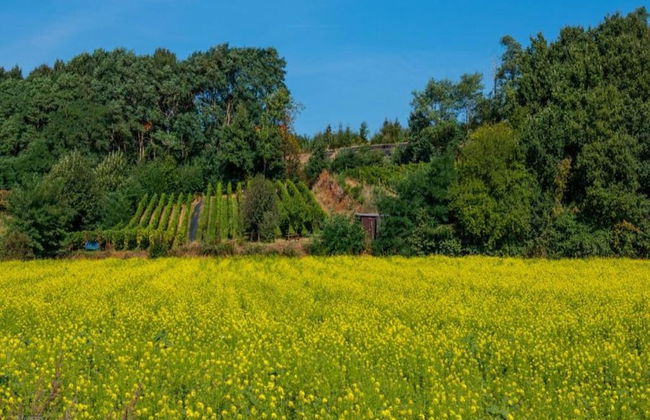 Scherpenheuvel Garden Home - Photo 39