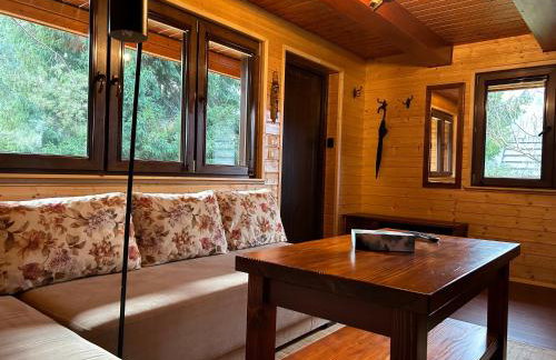 Reset Bieszczady - Foto 14