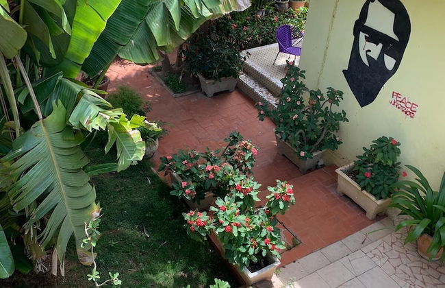 Studio in Tropical Garden - Photo 15