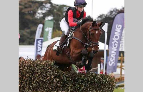 Oxfordshire Living - The Churchill Apartment - Woodstock - Foto 32