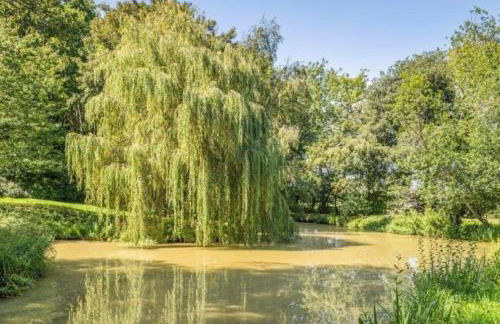 Daisy Cottage - Foto 5