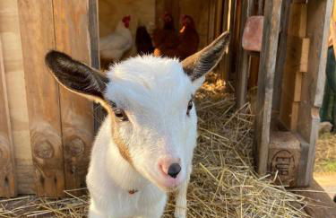 Villa Boeddu, relax tra mare e campagna - Foto 2