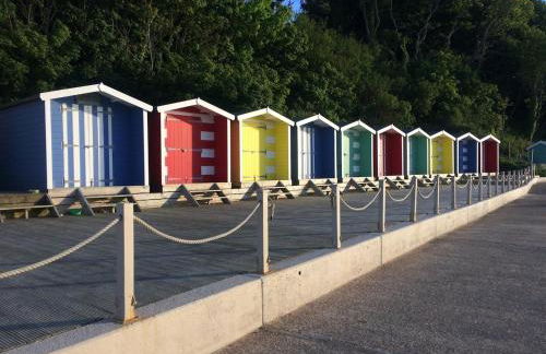 Fort View- Totland - Photo 28