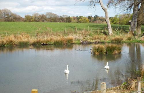 The Farmhouse at Williamscraig Holiday Cottages - Photo 24