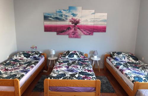 Studio apartman CENTAR - Foto 2