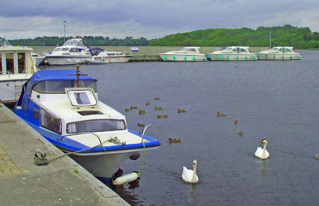 3 bedroom House in Nenagh with garden - Photo 20