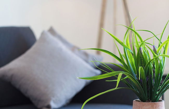 Artemis Cynthia Complex - Foto 63