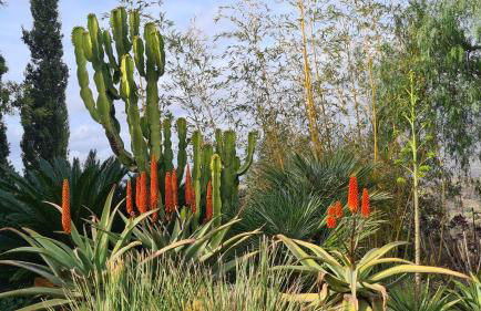 Casa El Mirador - Foto 11