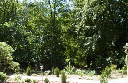 Waldhütte am See - Foto 14