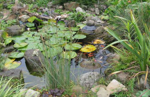 Ferienwohnung Flegessen Weserbergland - Foto 24