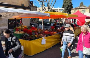 Studio Le Calypso les pieds dans l'eau 10 m mer - Foto 15