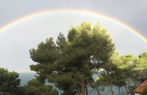 Apartments Atila - Foto 22