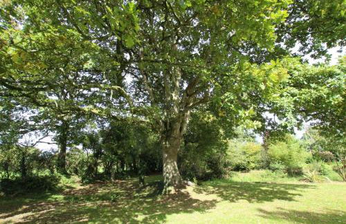 Gites Du Manoir de Savigny - Foto 15