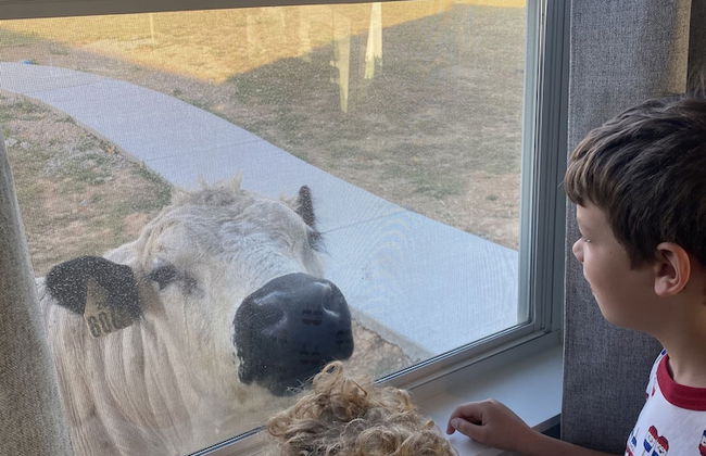 Blue Hills Ranch - Foto 21