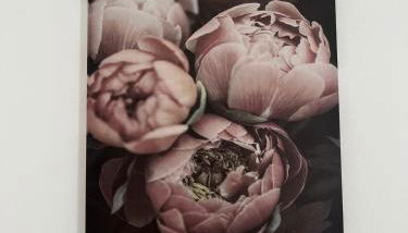 House of Flowers - Foto 4