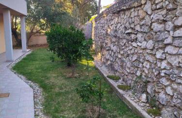 Zobić Family Apartments - Photo 12