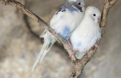 House of sunset 2 Sivas - Photo 45