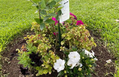 CRALS - Casa da Guilheta - Foto 36