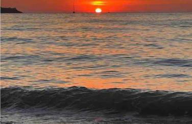Cottage in the Countryside Near New Quay West Wales - Photo 18